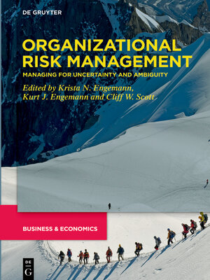 cover image of Organizational Risk Management